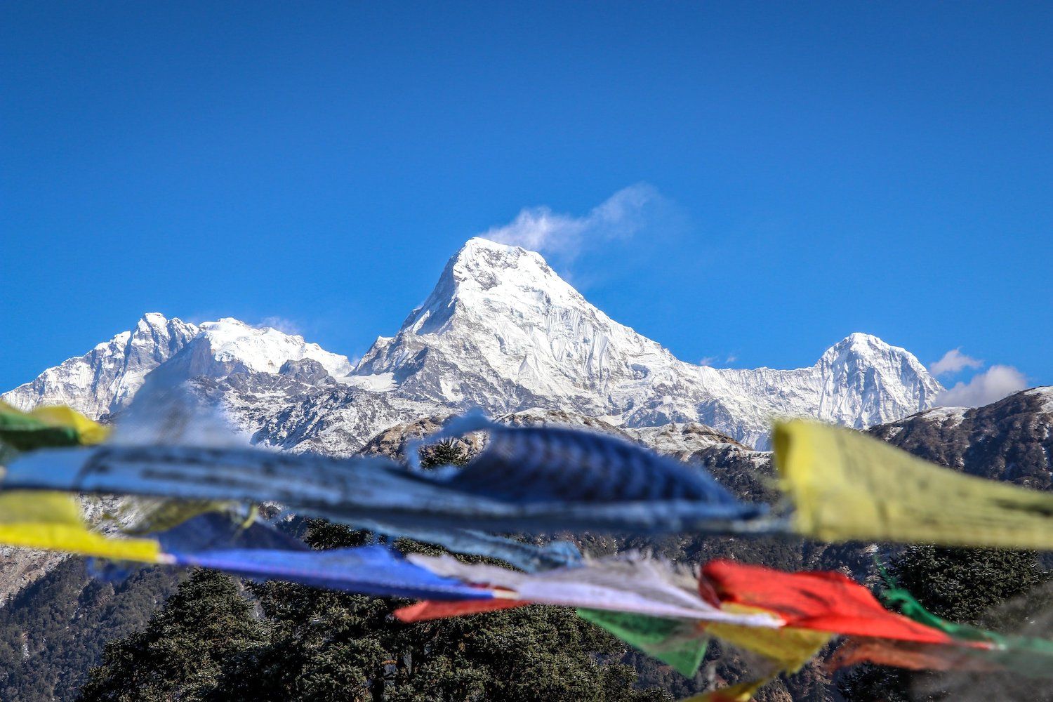 Annapurna Himalaya Trek