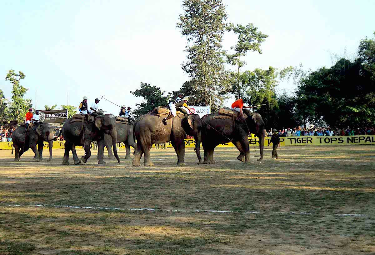 Elephant Polo in Meghauli, Nepal