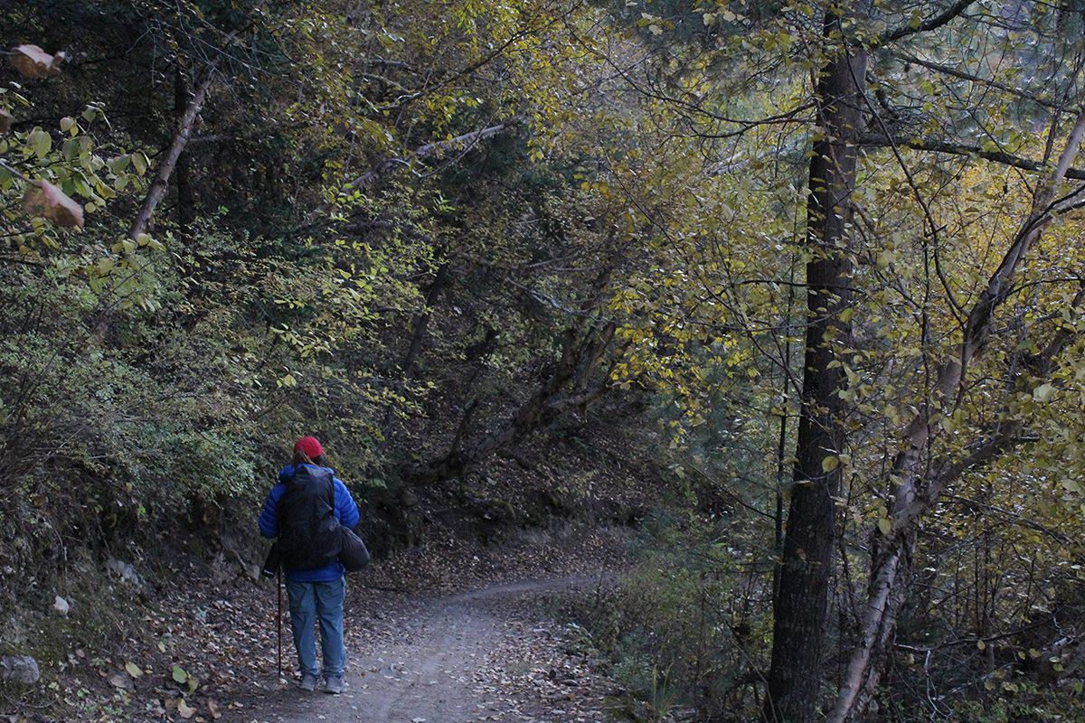 Travel Preparation For Hiking