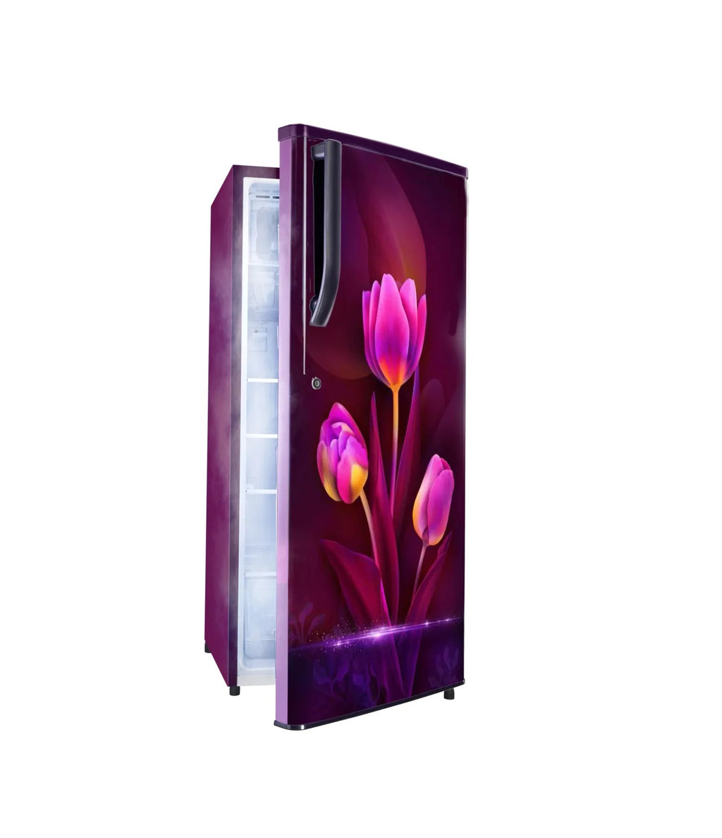 Gem 170L Direct Cool Single Door Refrigerator
