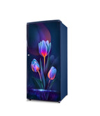 Gem 170L Direct Cool Single Door Refrigerator