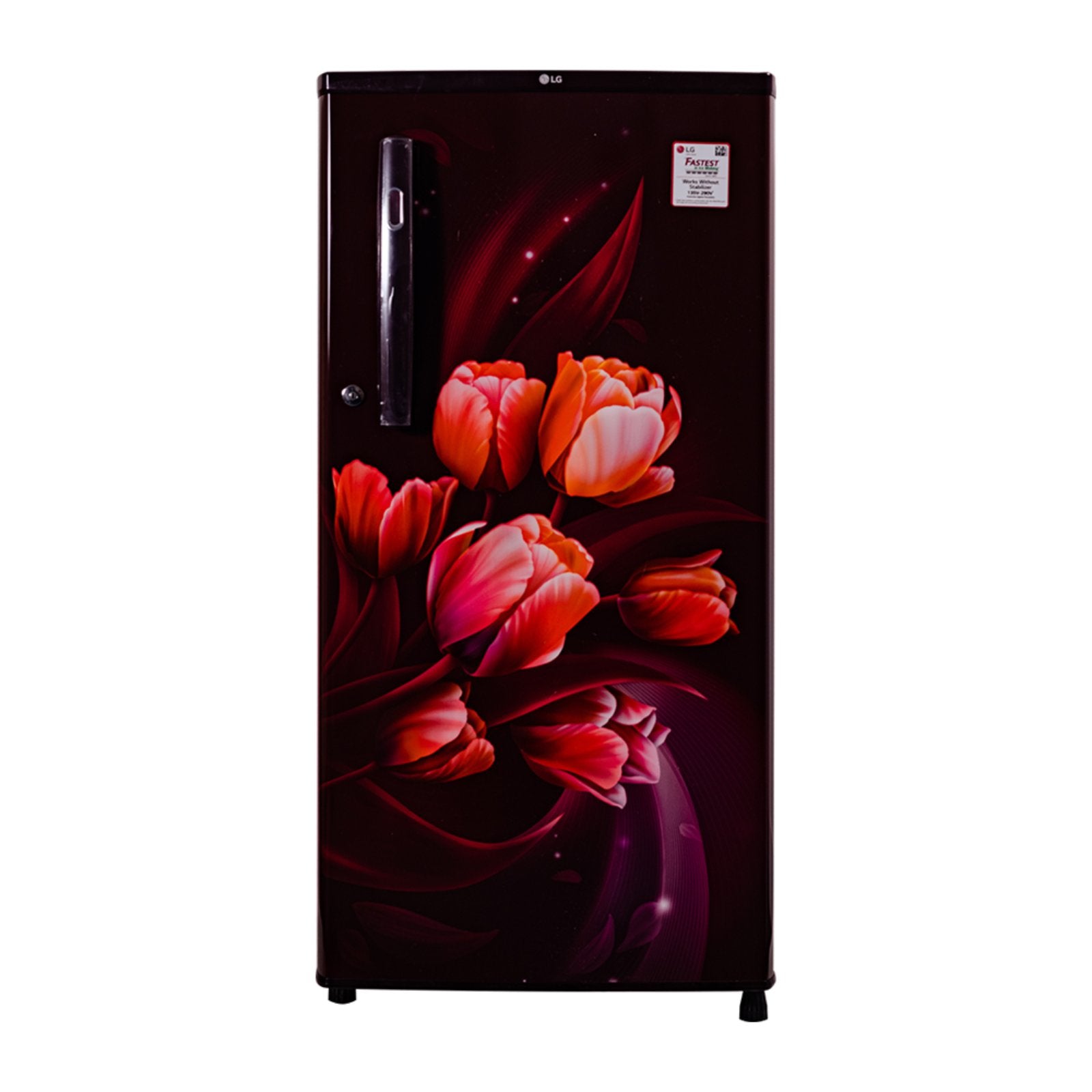LG Refrigerator with a floral design on a black background GLB204OSTC