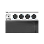 Large physical control knobs and water inlet selector on Midea MT100W80.